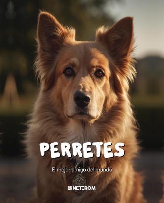 Sobre Perretes