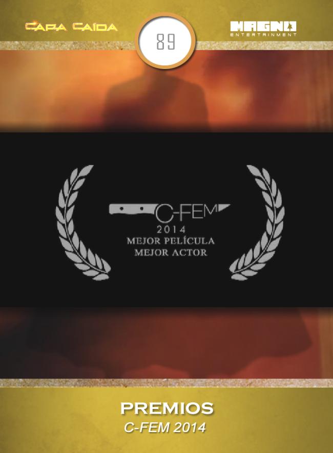 C-FEM 2014
