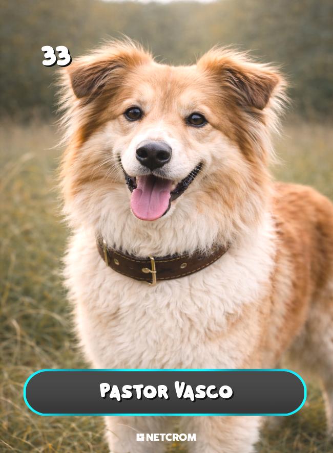 Pastor Vasco