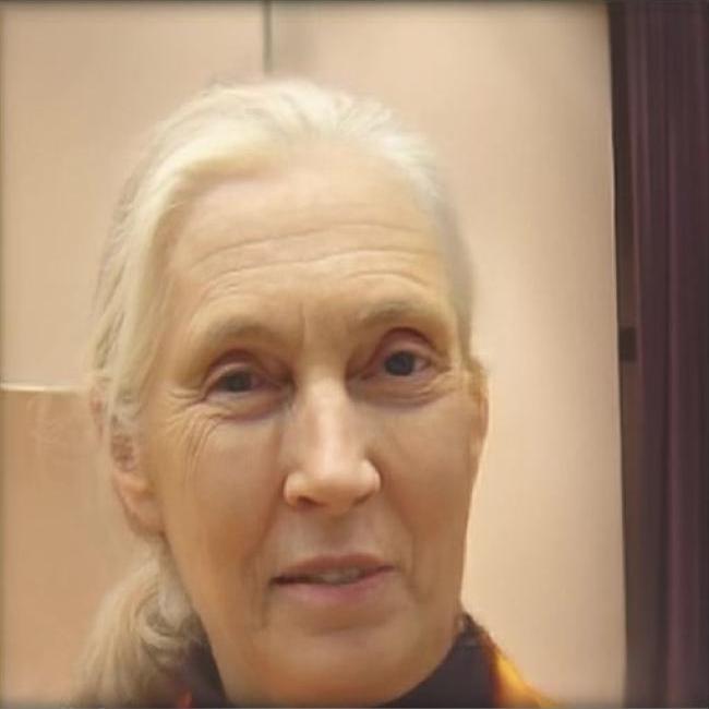 Jane Goodall